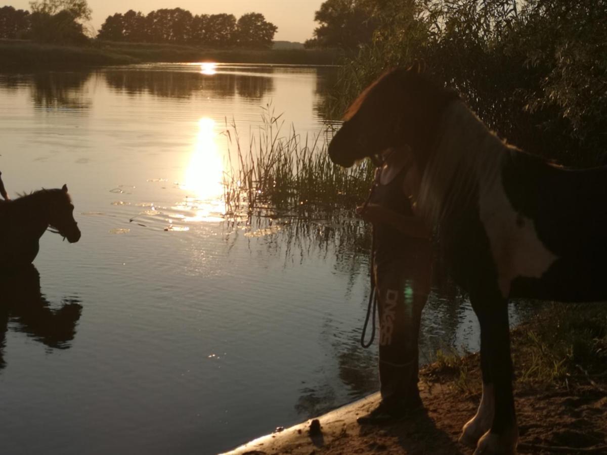 Ferienwohnung Czampiel Havelberg Dış mekan fotoğraf